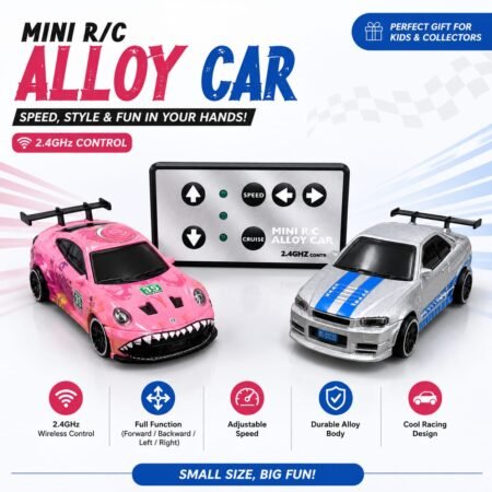 MINI R/C CARS